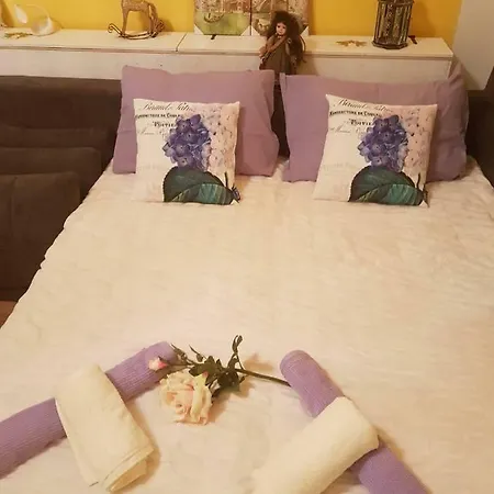 Apartman Zorica شقة بولا