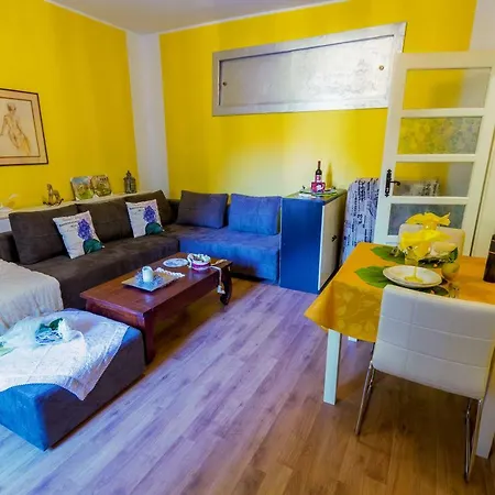 Apartman Zorica شقة