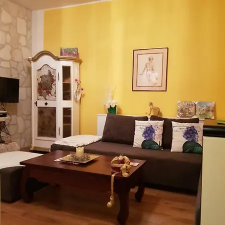 Apartman Zorica شقة *